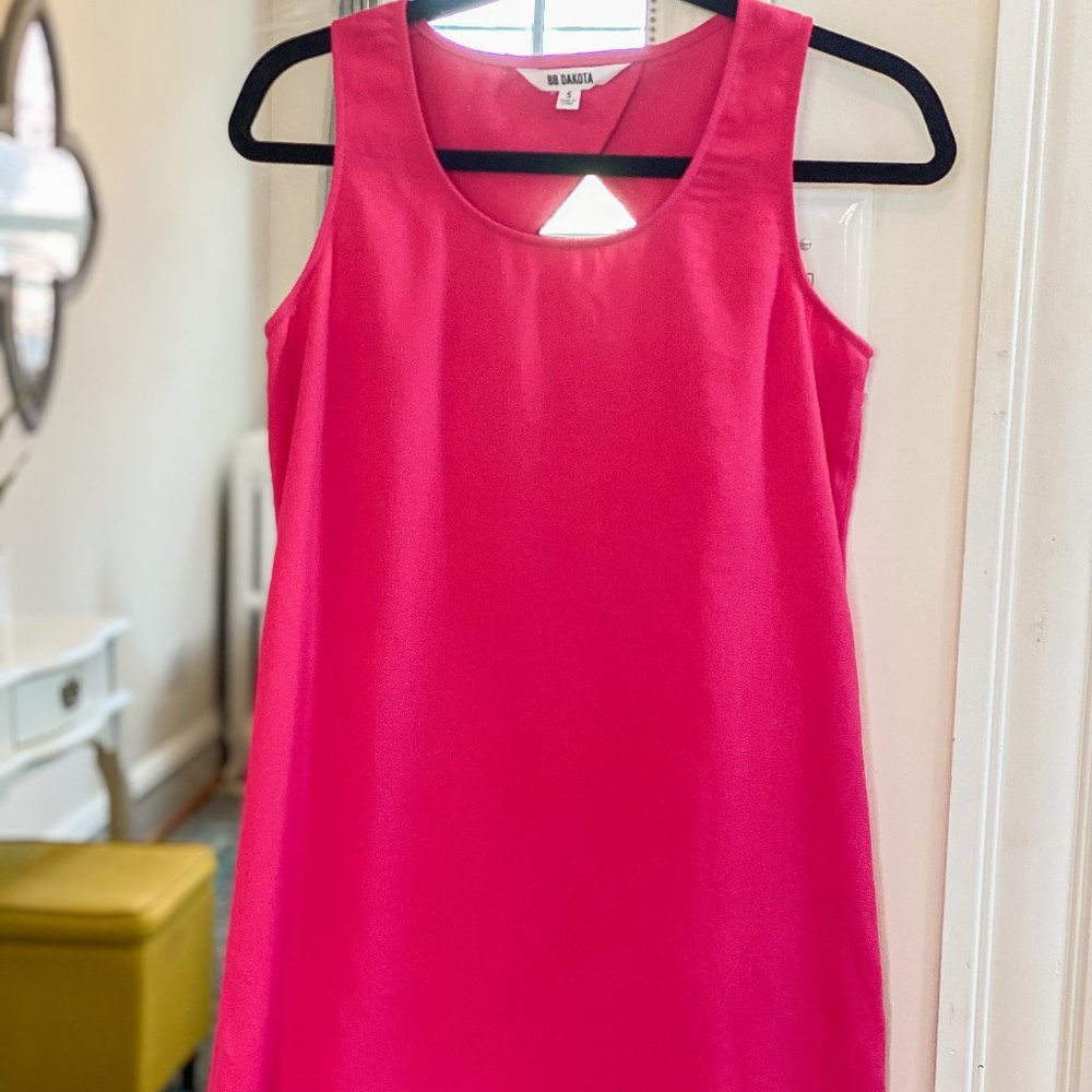 BB Dakota Pink Dress